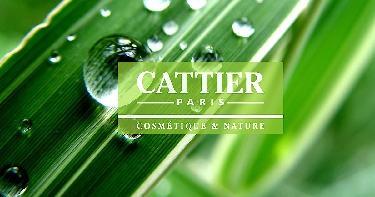 CATTIER PARIS Beurre de karité parfum FLEUR des îles BIO 100g