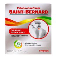 Saint-Bernard 2 patchs zone étendue