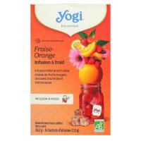 Rooibos infusion ayurvédique aux épices 17 sachets