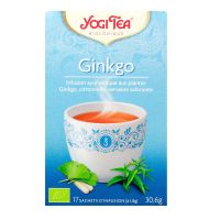 Infusion ginkgo 17 sachets