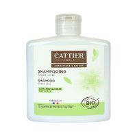 Argile verte shampooing 250ml