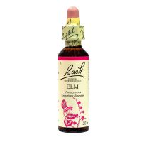 Bach elm n°11 20ml