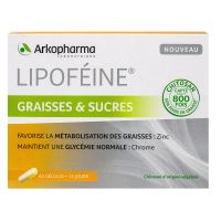 Lipoféine graisses et sucres 60 gélules