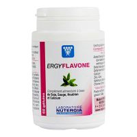 Ergyflavone 60 gélules