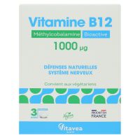 Vitamine B12 1000ug 90 comprimés
