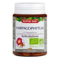 Harpagophytum bio 80 comprimés