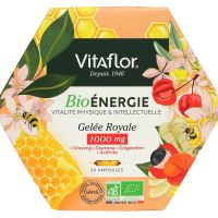 Gelée royale énergie plus physique 1000mg