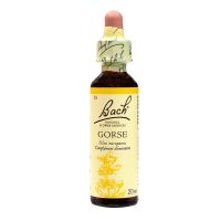 Bach gorse n°13 20ml