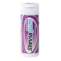 Steviagum chewing gum menthe myrtille 30g
