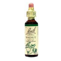 Bach walnut n°33 20ml