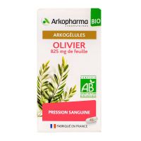 Arkogélules olivier bio pression sanguine 45 gélules