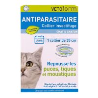 Collier insectifuge chat & chaton
