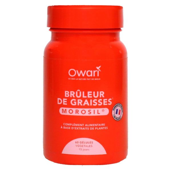 Brûleur de graisses morosil 60 gélules