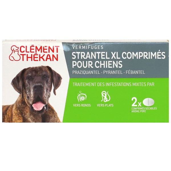 Strantel XL vermifuge chien 2 comprimés